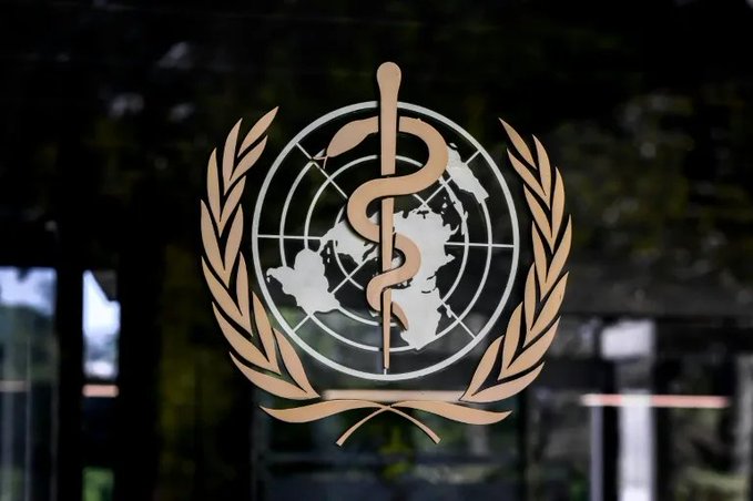El Niño : l’ONU peine à financer la prévention des crises alimentaires