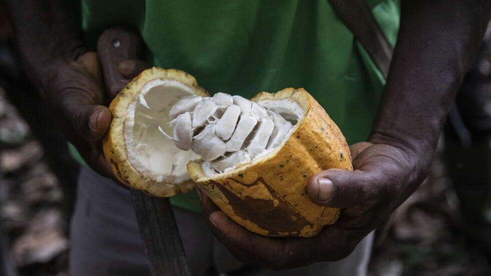 Le Ghana baisse le prix du cacao à la ferme pour stimuler la demande