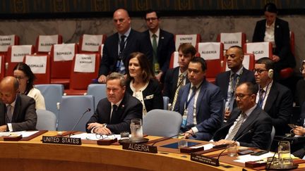 Les États-Unis défendront «chaque centimètre du territoire de l'Otan», assure leur ambassadeur à l'ONU