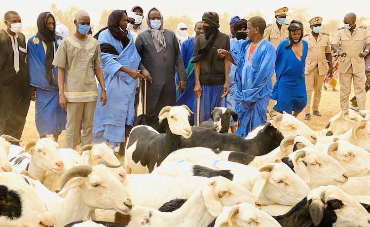 Sénégal : la crise au Mali provoque une pénurie de moutons avant la Tabaski
